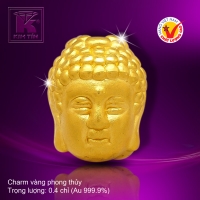 Charm vàng phong thủy