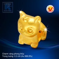 Charm vàng phong thủy