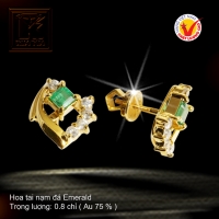 Hoa tai nạm đá Emerald