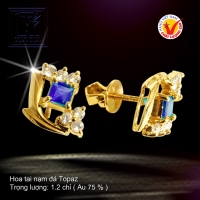 Hoa tai nạm đá Topaz