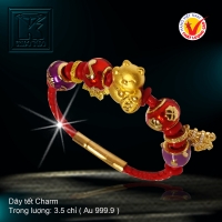 Dây tết Charm