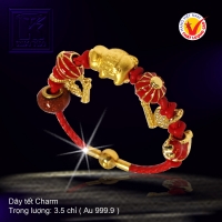 Dây tết Charm