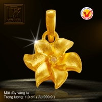 Mặt dây vàng 24K