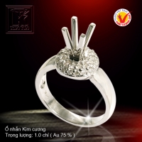 Nhẫn nữ vàng trắng 18K