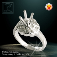 Nhẫn nữ vàng trắng 18K