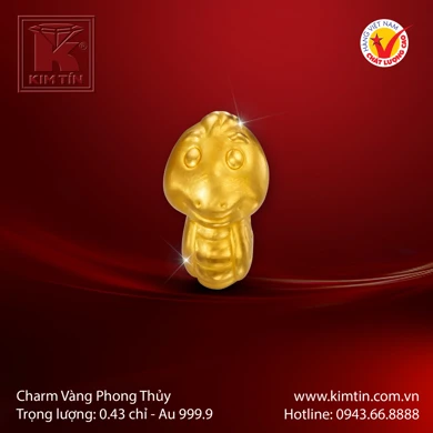 Charm Vàng 24K 