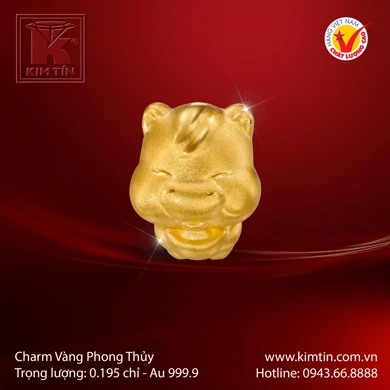 Charm Vàng 24K 