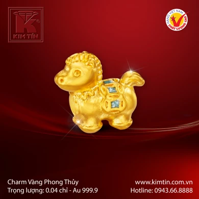 Charm Vàng 24K 