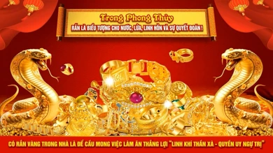 KIM TÍN - BÀI HÁT THẦN TÀI 2